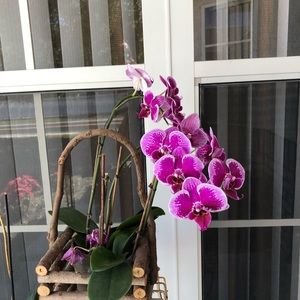 Meet your Posher, Zuleima